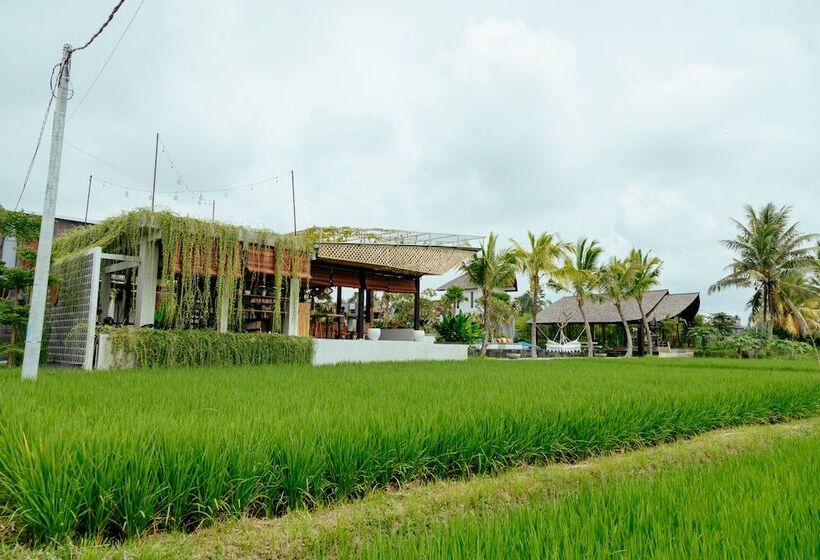 酒店 Podpadi Design Spaces