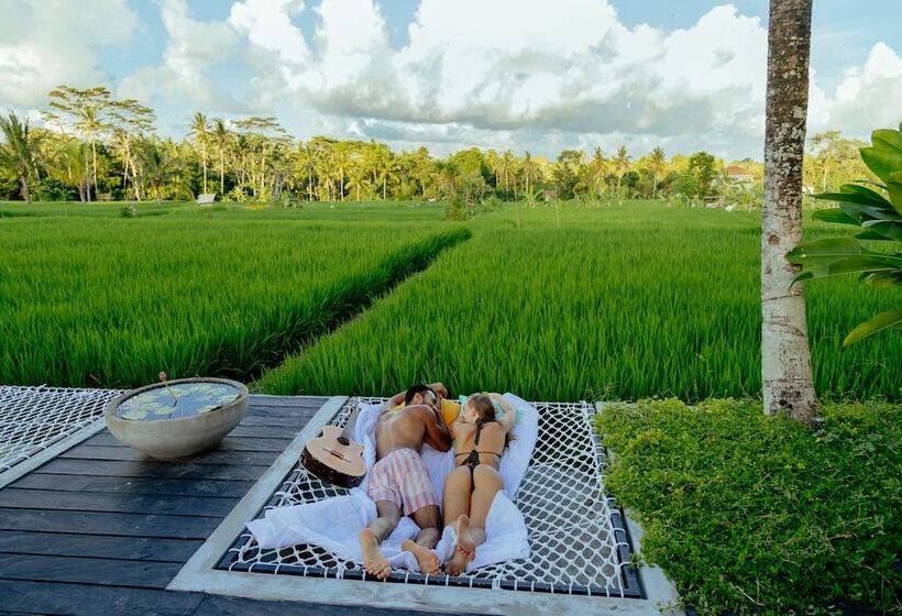 Hotell Podpadi Design Spaces