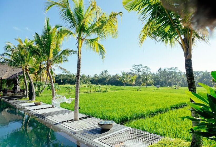 Hotel Podpadi Design Spaces