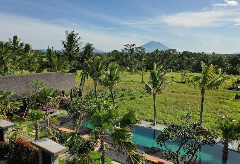 Hotel Podpadi Design Spaces