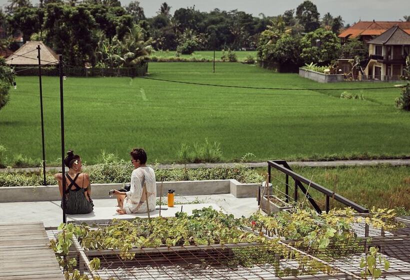 Hotel Podpadi Design Spaces