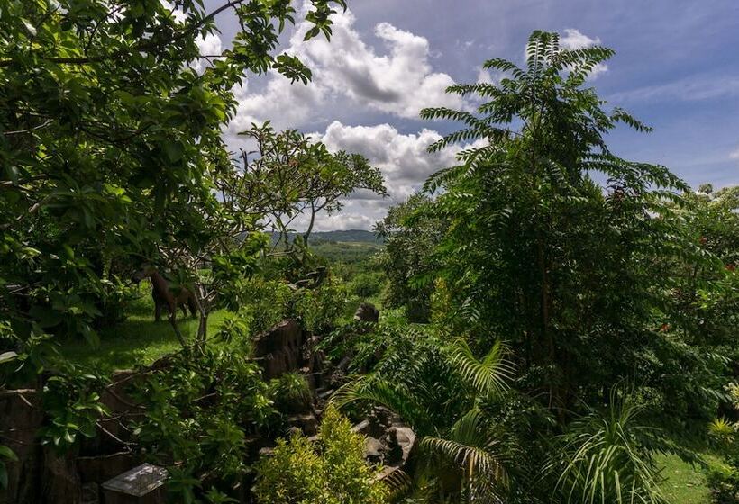 בית מלון כפרי Reddoorz @ Tambolaka Sumba