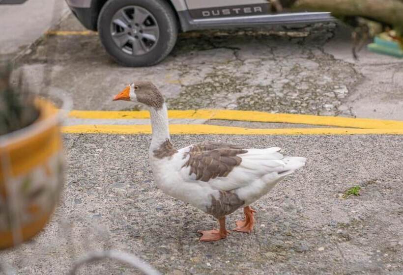 Finca Hotel San Isidro