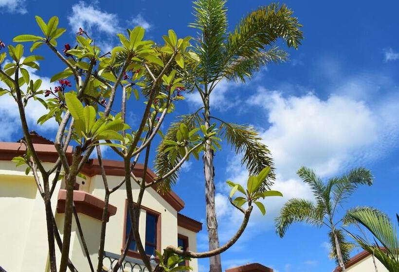 ホテル Sealong Bay Zhongqi Conifer