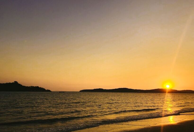 ホテル Sealong Bay Zhongqi Conifer