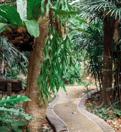 The Vatika Resort And Spa