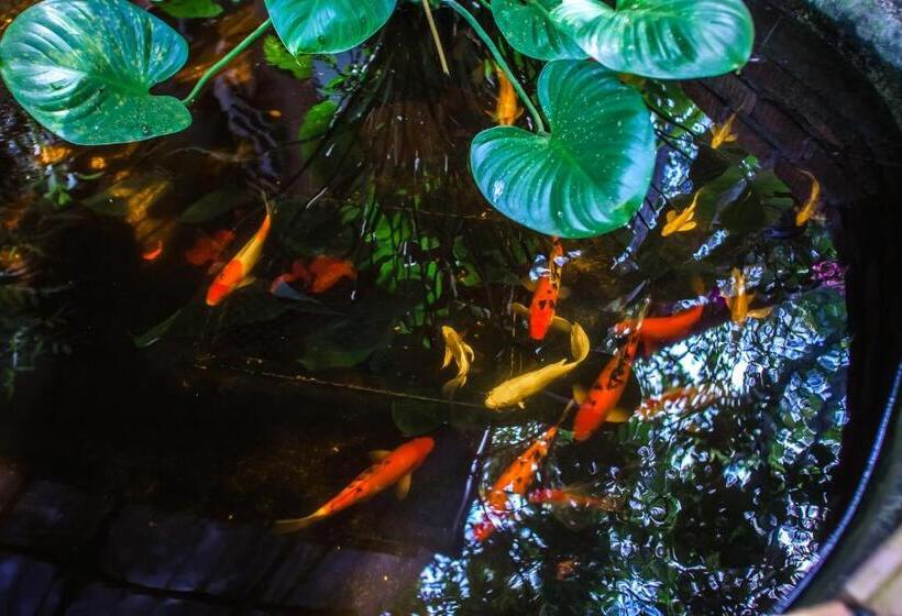 The Vatika Resort And Spa