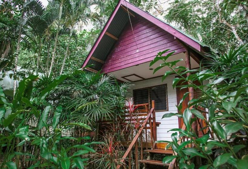 The Vatika Resort And Spa