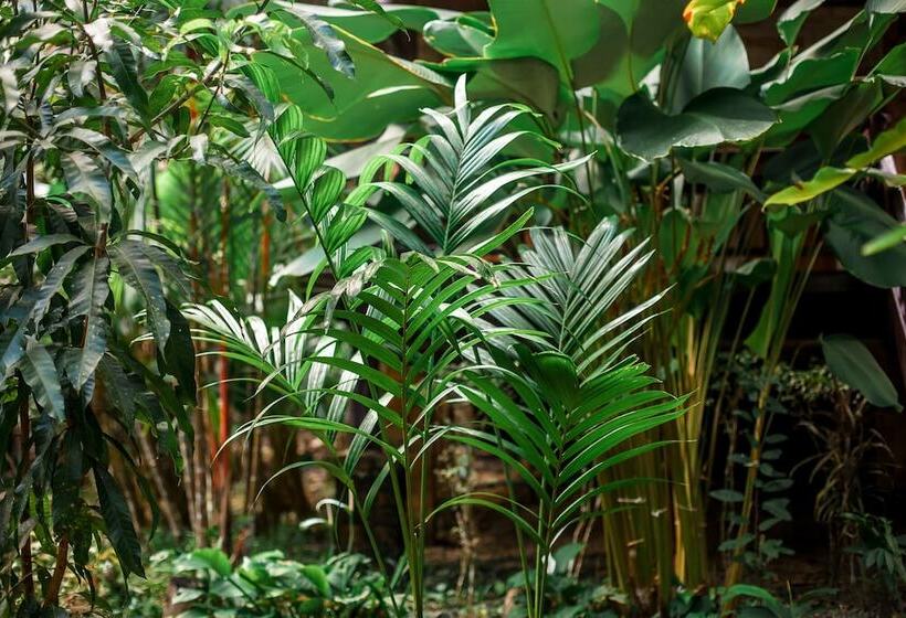 The Vatika Resort And Spa