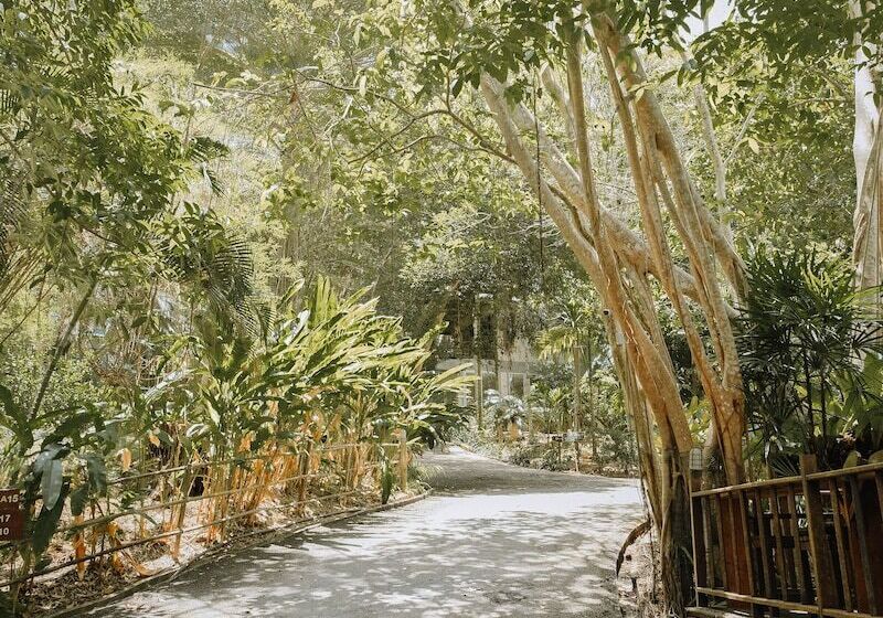 The Vatika Resort And Spa