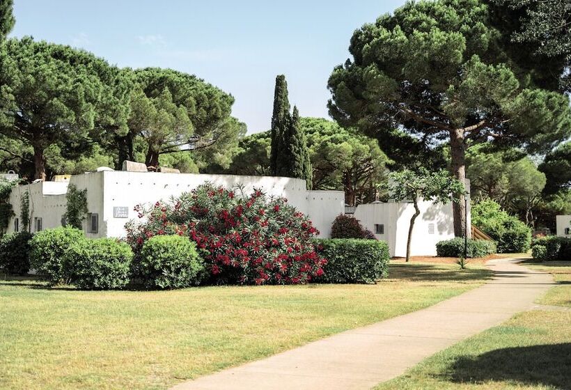 Belambra Clubs La Grande Motte Petite Camargue   Presqu île Du Ponant