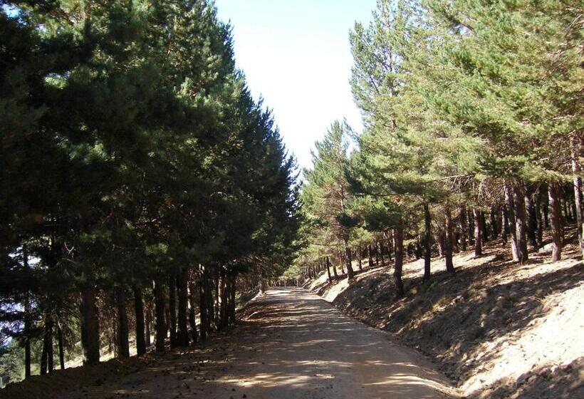 Hostal Rural Poqueira