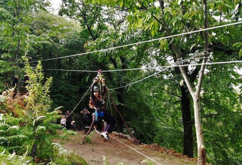 호텔 12 Months Resort & Spa