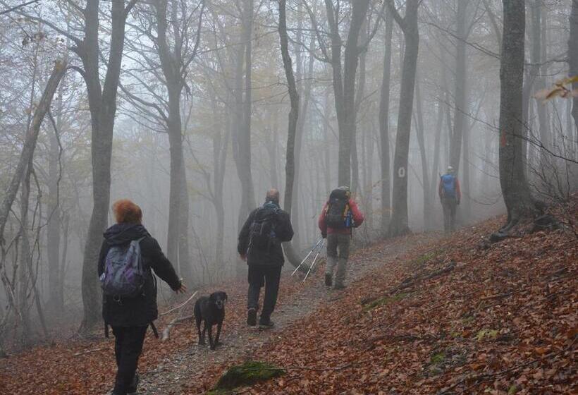 هتل 12 Months Resort & Spa