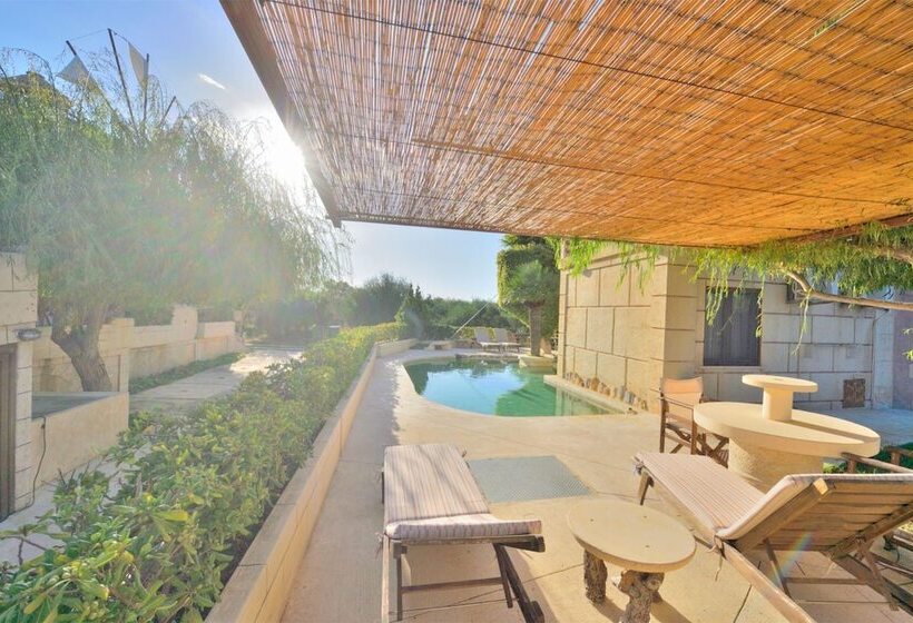 酒店 Anemomili Village