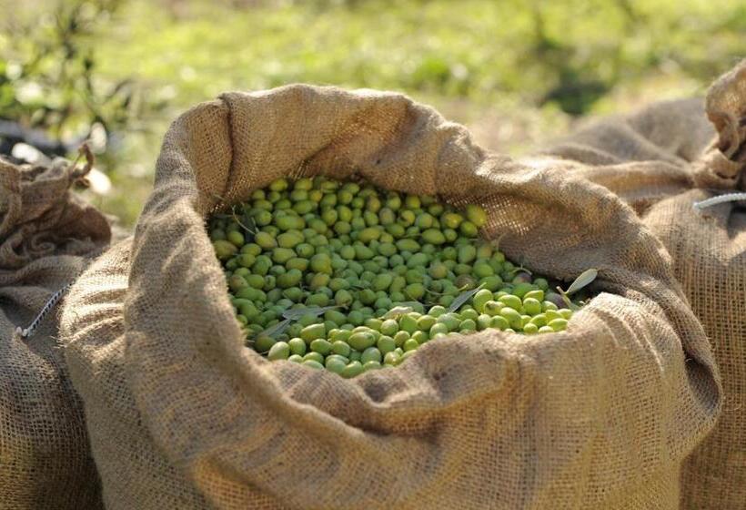 ホテル Angela S House