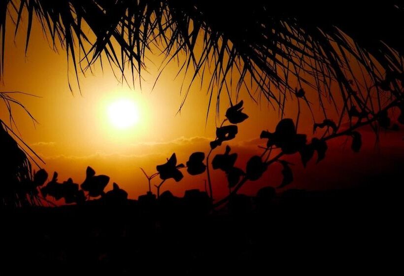 호텔 Castri Village