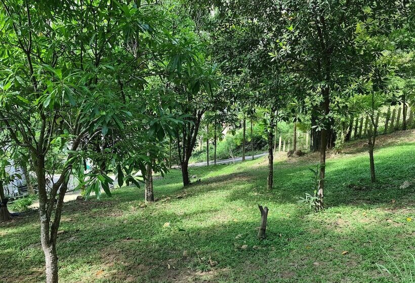 فندق Chaweng Park Place