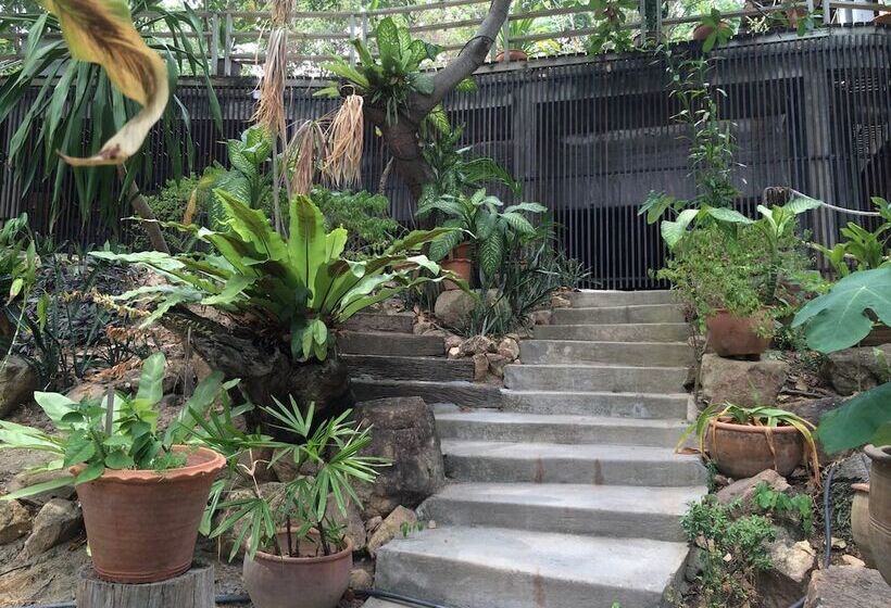 فندق Chaweng Park Place