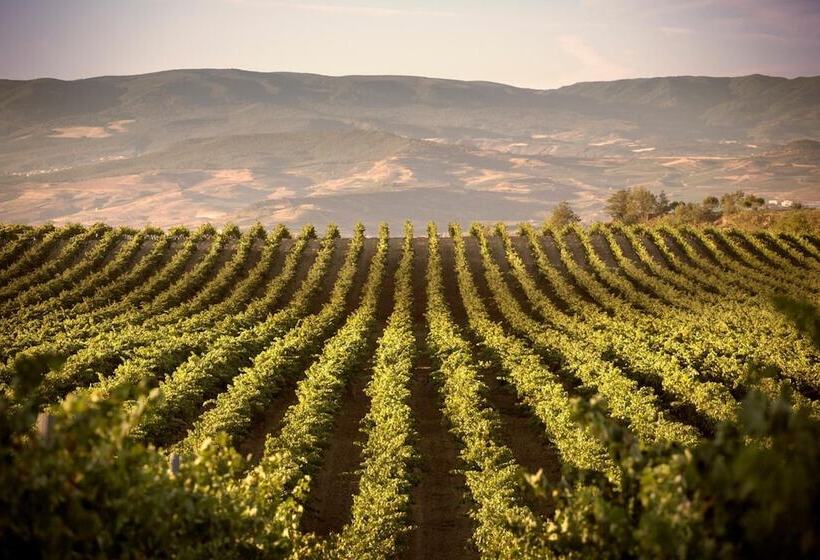 בית מלון כפרי Eguren Ugarte