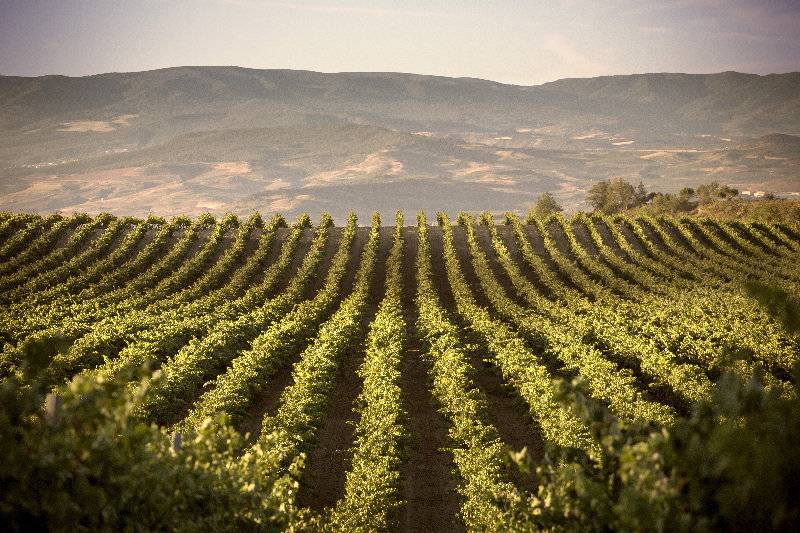 בית מלון כפרי Eguren Ugarte