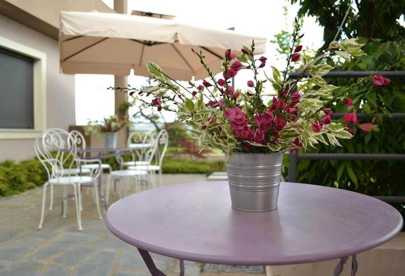 בית מלון כפרי Ellopia Point