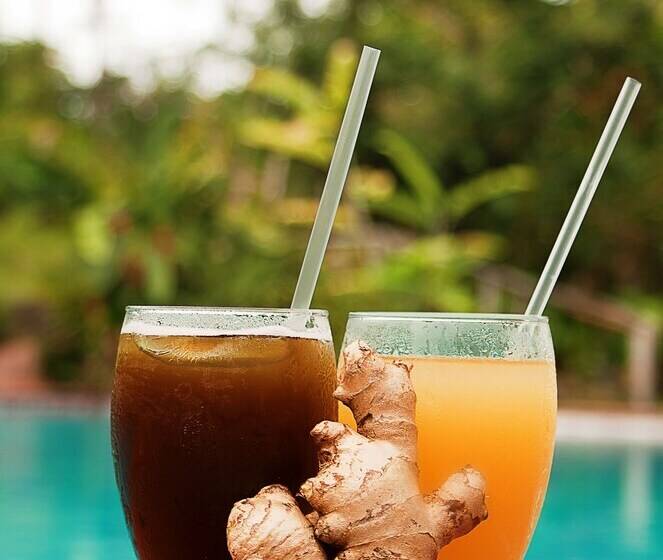 فندق Finca Luna Nueva Lodge