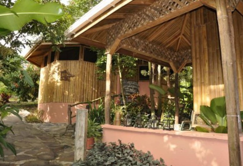 فندق Finca Luna Nueva Lodge