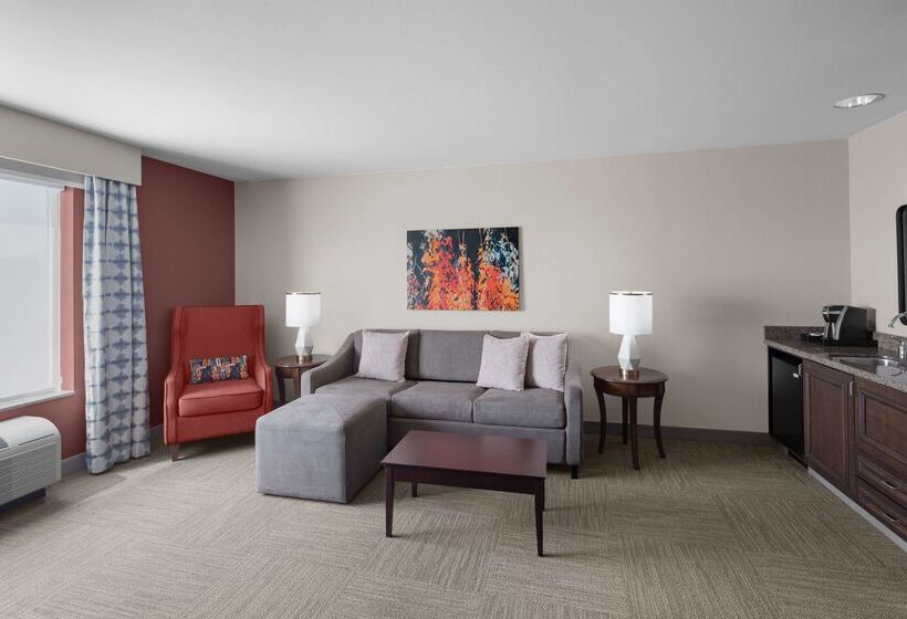 בית מלון כפרי Hilton Garden Inn Salt Lake City Airport