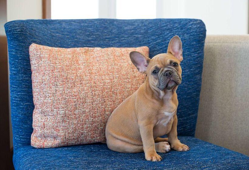 בית מלון כפרי Hilton Garden Inn Salt Lake City Airport