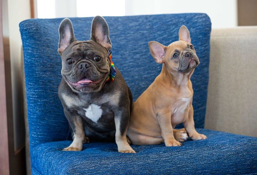 בית מלון כפרי Hilton Garden Inn Salt Lake City Airport