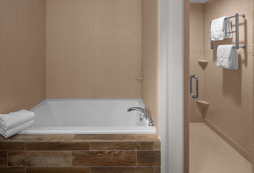 בית מלון כפרי Hilton Garden Inn Salt Lake City Airport