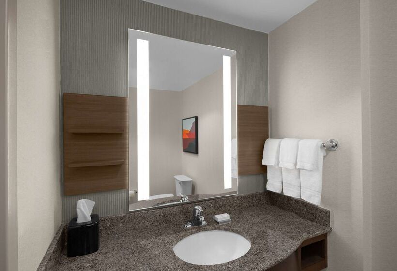 בית מלון כפרי Hilton Garden Inn Salt Lake City Airport