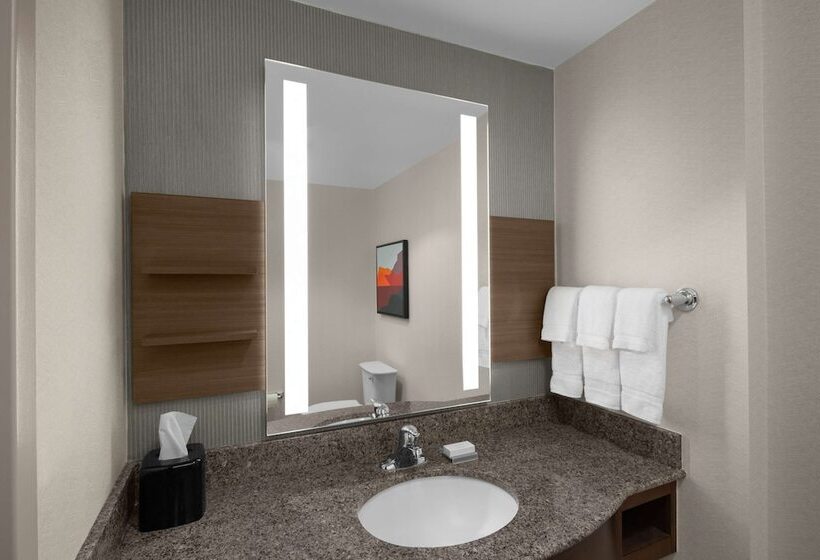 בית מלון כפרי Hilton Garden Inn Salt Lake City Airport