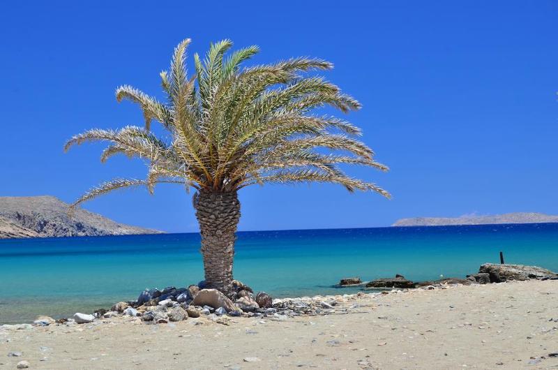 هتل Hiona Holiday