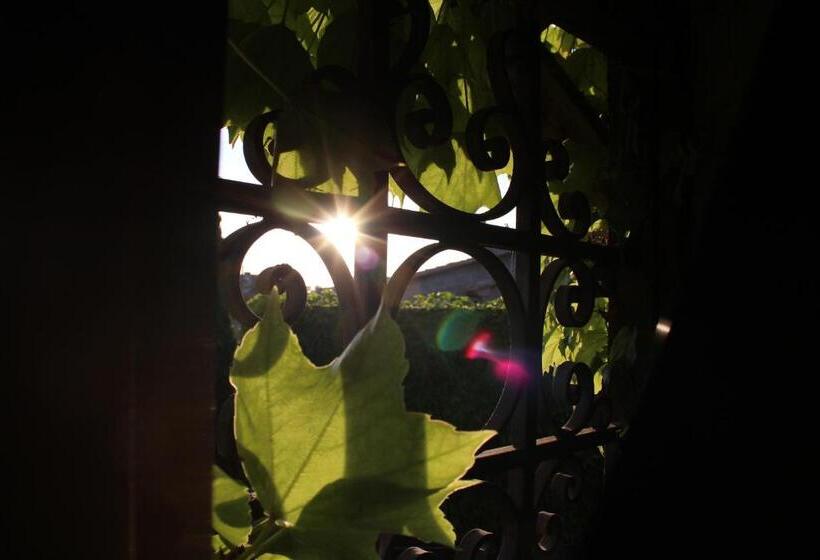 فندق La Posada De Lalola