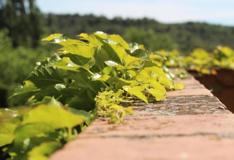 فندق La Posada De Lalola