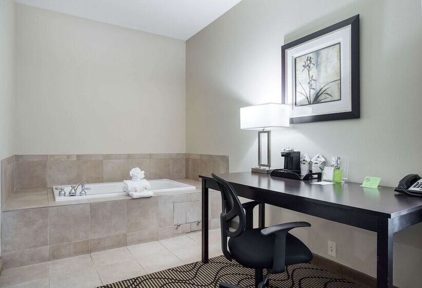 فندق La Quinta By Wyndham Auburn