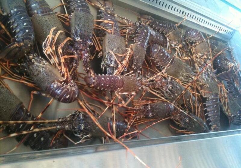 בית מלון כפרי Madares