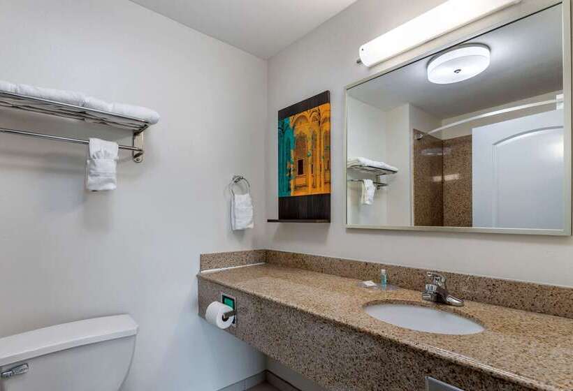 בית מלון כפרי Mainstay Suites Port Arthur  Beaumont South