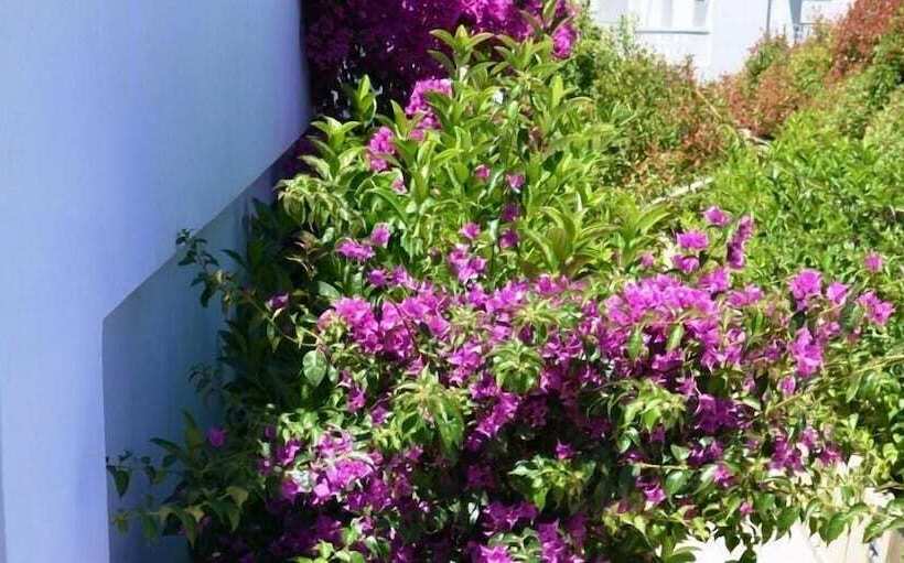 Mare Dei Suites Hotel Ionian Resort