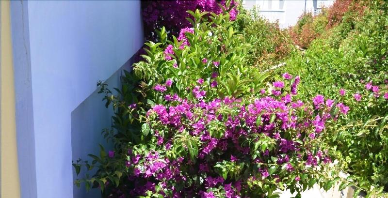 Mare Dei Suites Hotel Ionian Resort