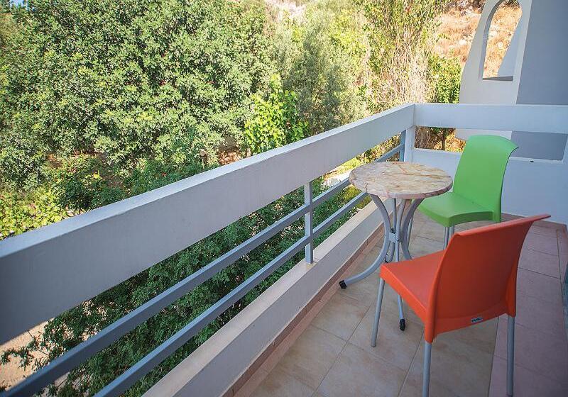 בית מלון כפרי Megim