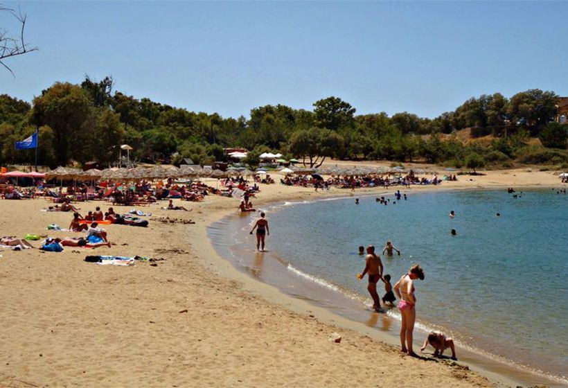 فندق Paradise Apartments