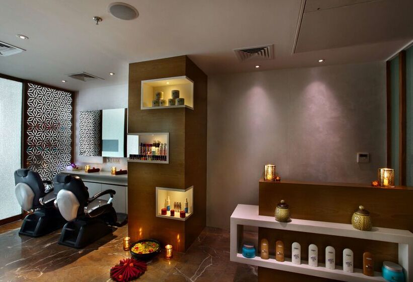 Отель Park Plaza Shahdara