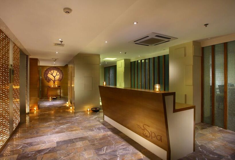 Отель Park Plaza Shahdara