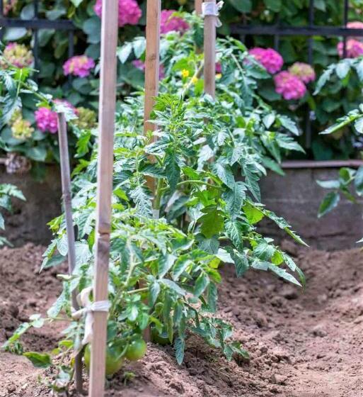 호텔 Pegasus Adult Friendly