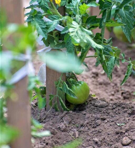 호텔 Pegasus Adult Friendly