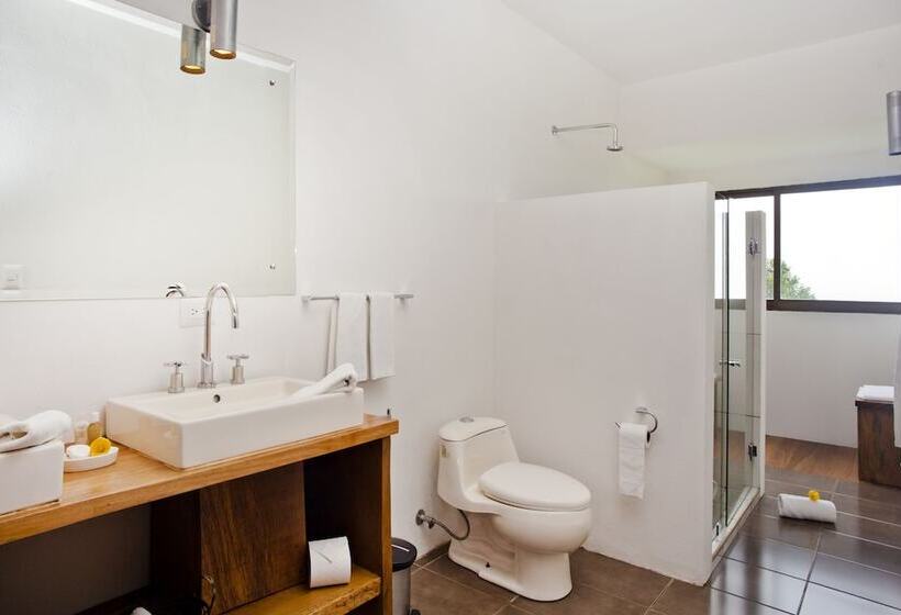 فندق Poas Volcano Lodge