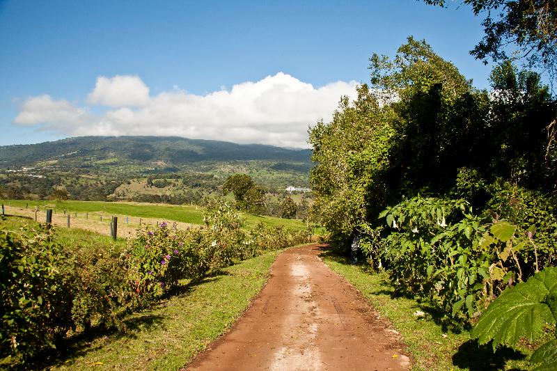 فندق Poas Volcano Lodge